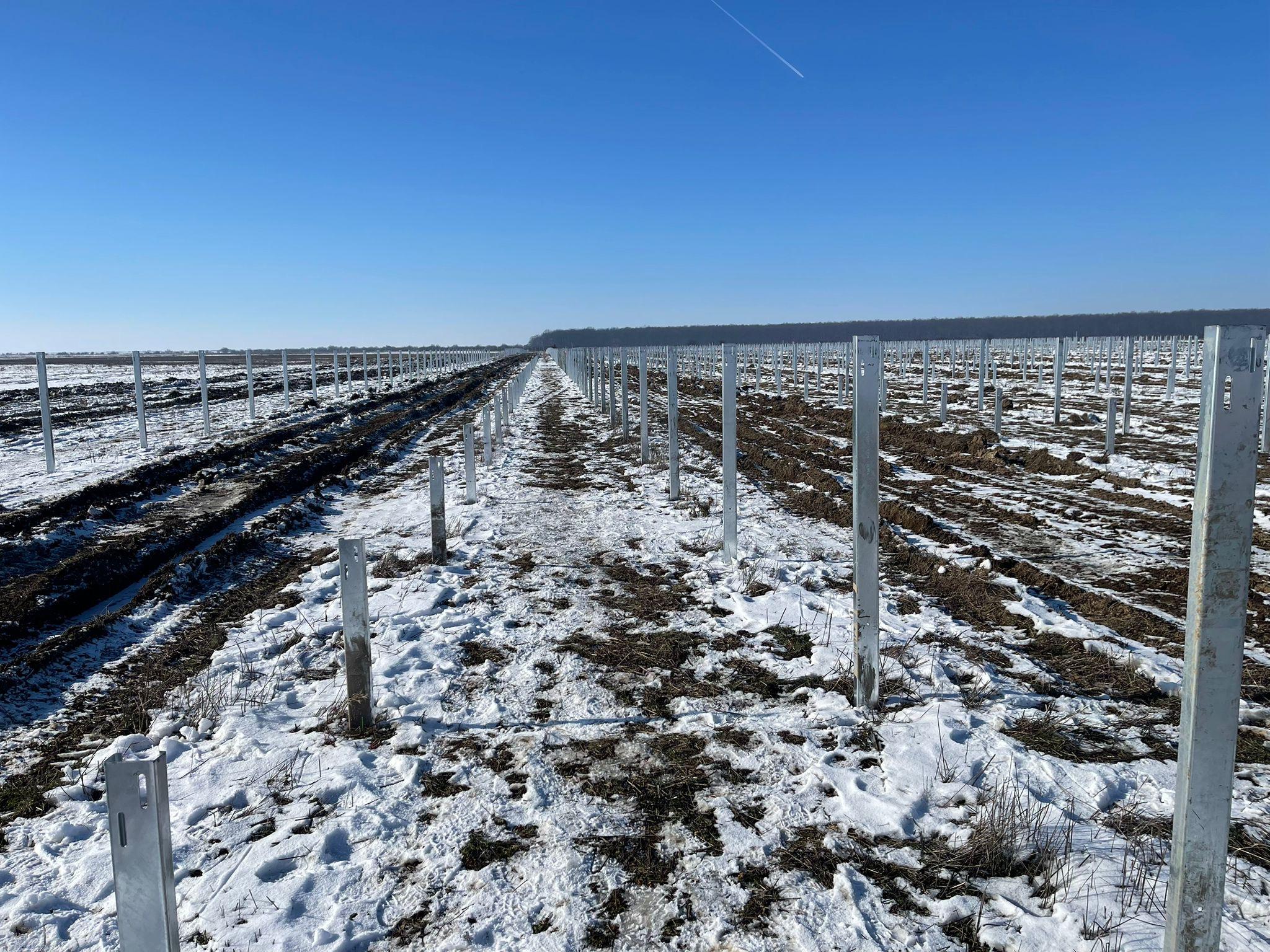 Ramming Șantier Corbii Mari – 48 MW, Pitești - foto 7